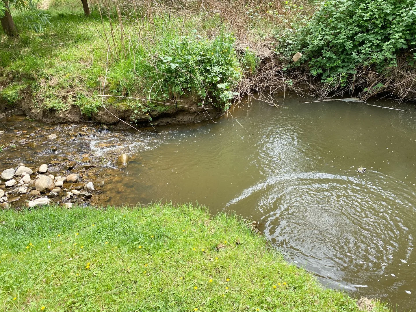 Additional image 24 of 1725 Wild Dog Valley, Strzelecki VIC 3950