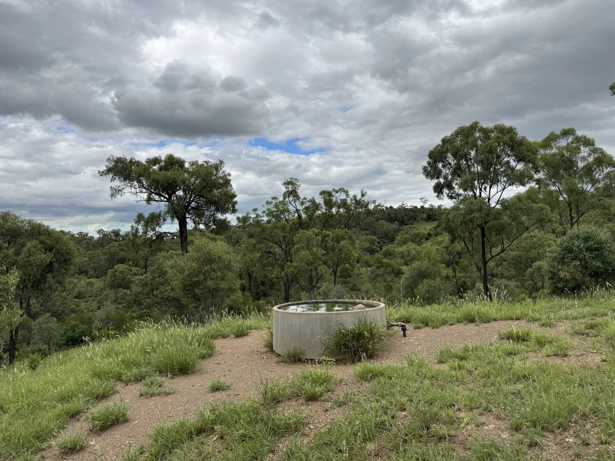 Additional image 18 of "Mustons" Frawleys Road, Thangool QLD 4716