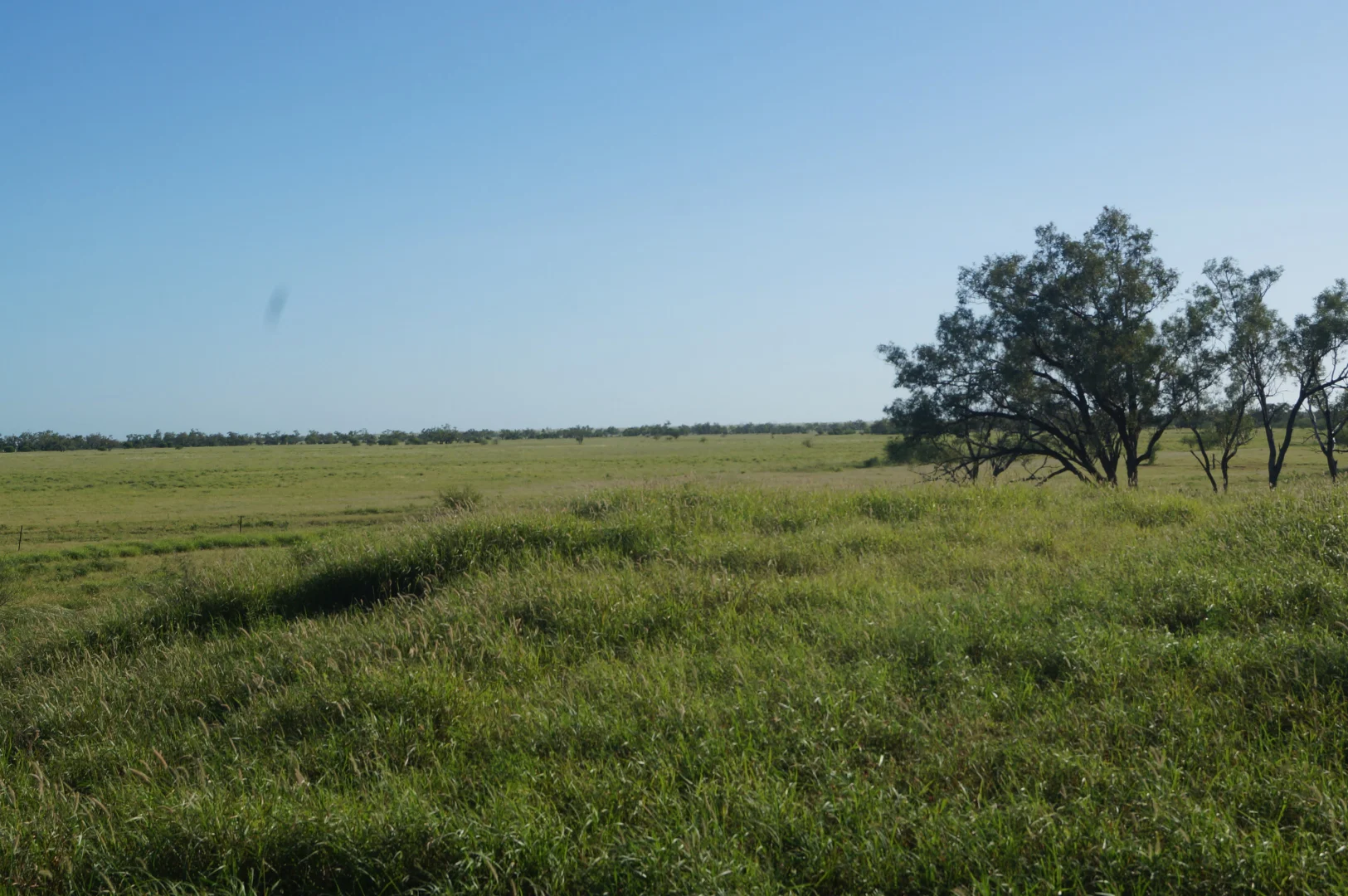 Additional image 5 of 1 Baratria Road, Longreach QLD 4730