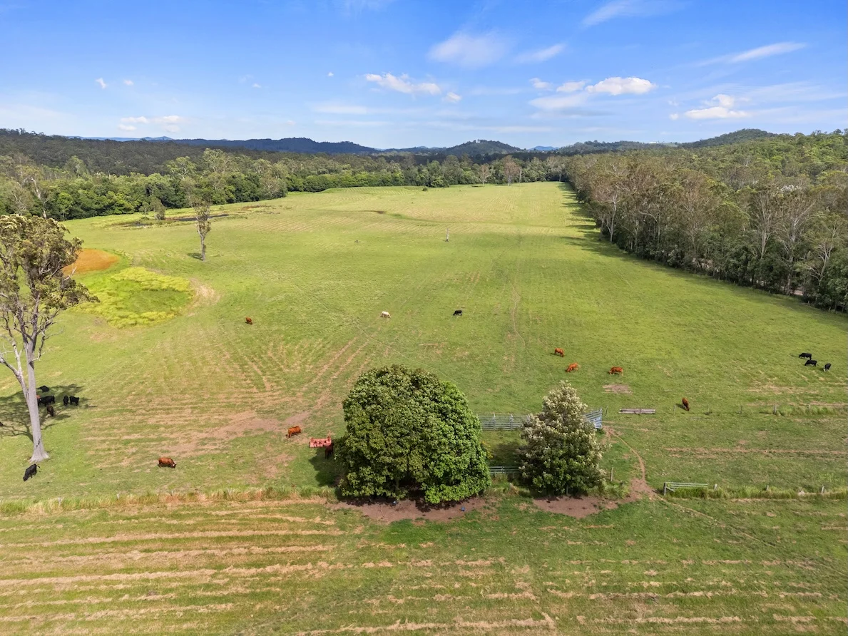 Additional image 15 of Lot 4 Newspaper Hill Road, Belli Park QLD 4562