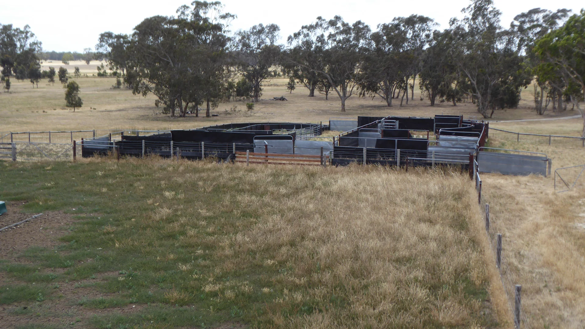 Additional image 2 of Lot 1 Walkington Hills Road, Frances SA 5262