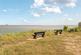 Additional image 24 of Humberston Fitties, Humberston, Grimsby, Lincolnshire, DN36