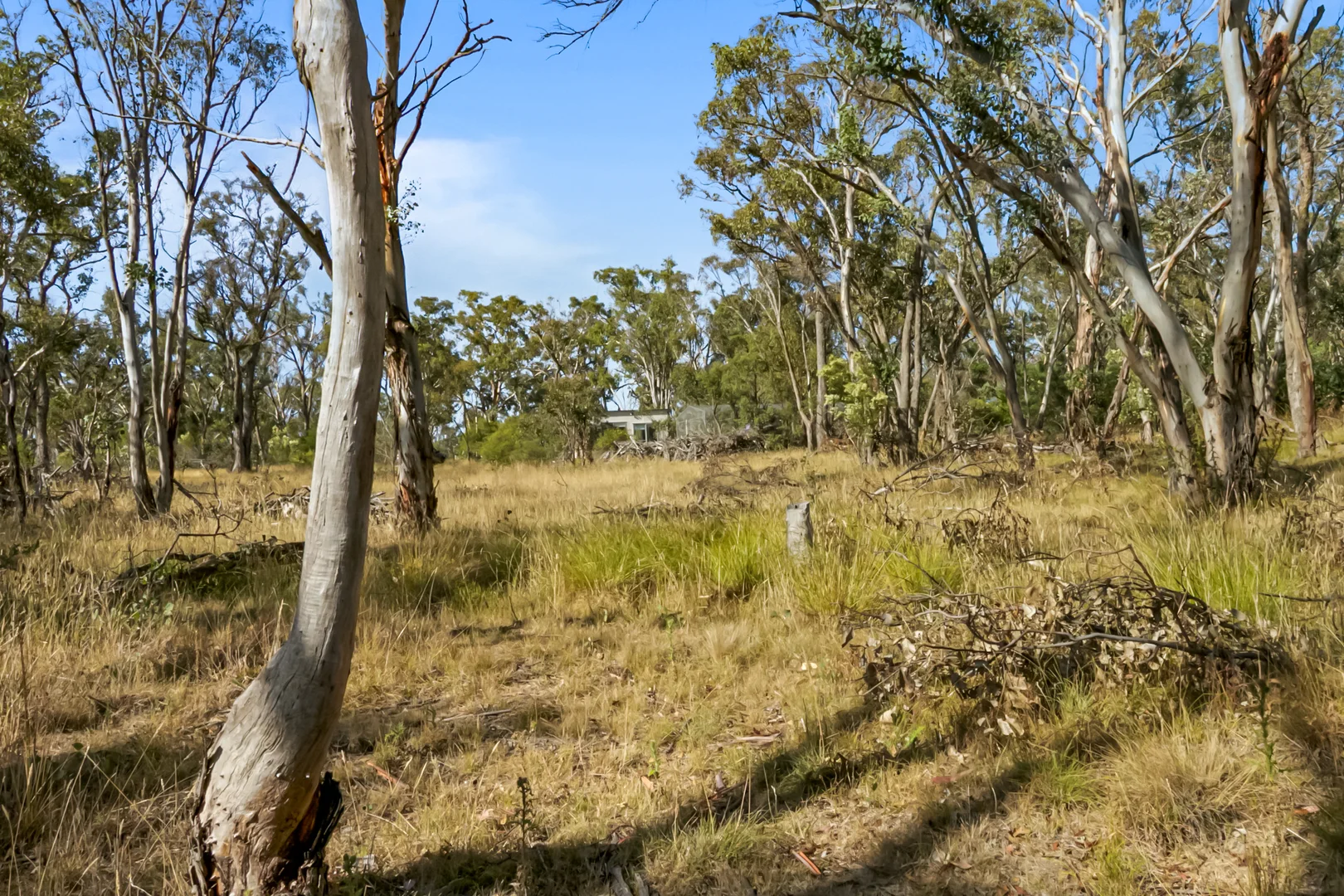 Additional image 8 of 55 Panhandle Road, Uralla NSW 2358