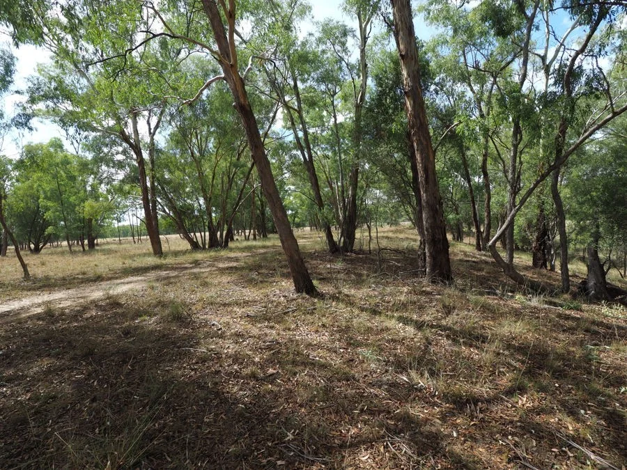 Additional image 13 of 288 Fairford Road, Warialda NSW 2402