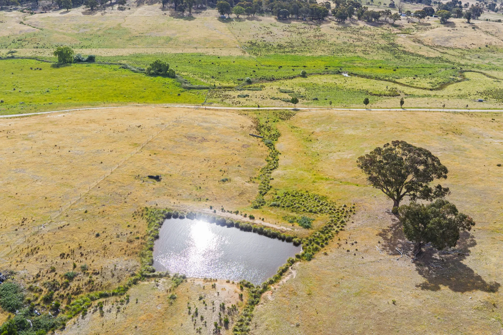 Additional image 21 of Lot 38 Gentle Destiny Road, Boorowa NSW 2586