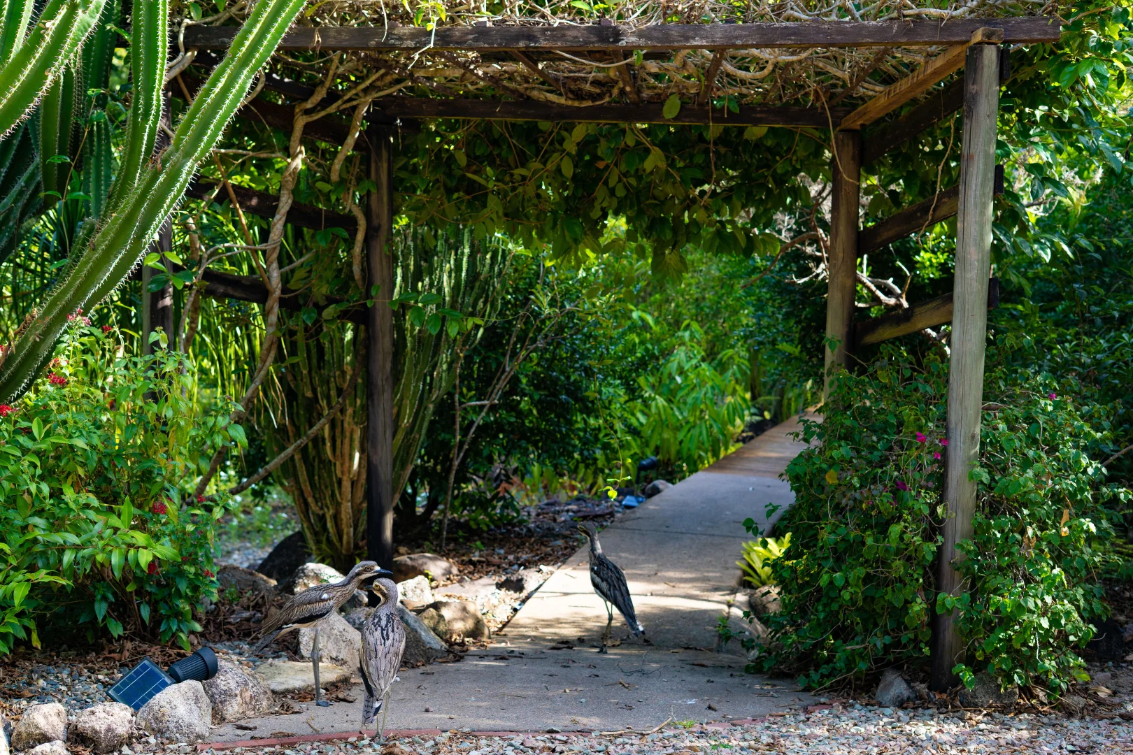 Additional image 35 of 11 Mission Cir, Wongaling Beach QLD 4852