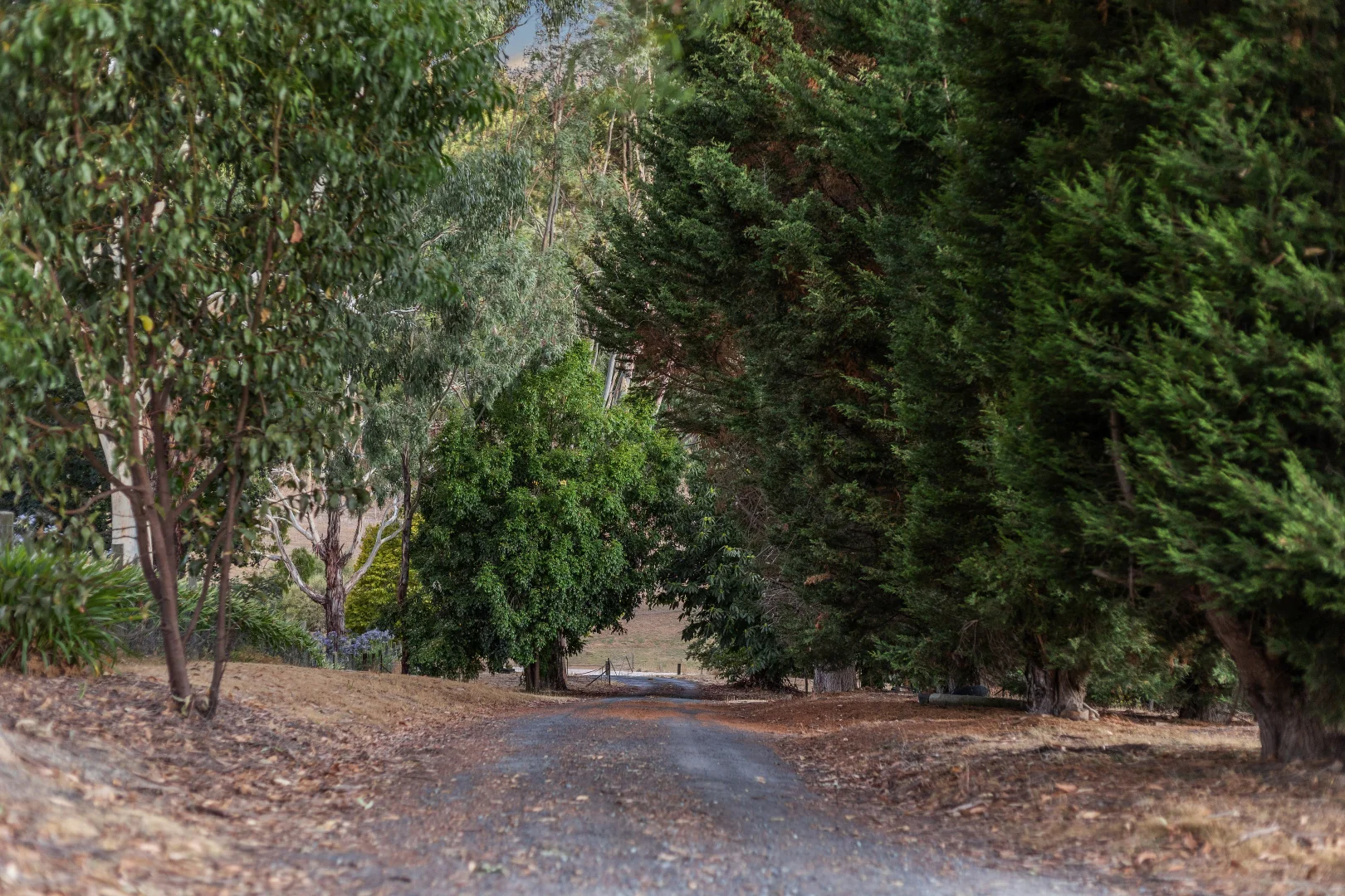 Additional image 3 of 23 Totness Road, Totness SA 5250