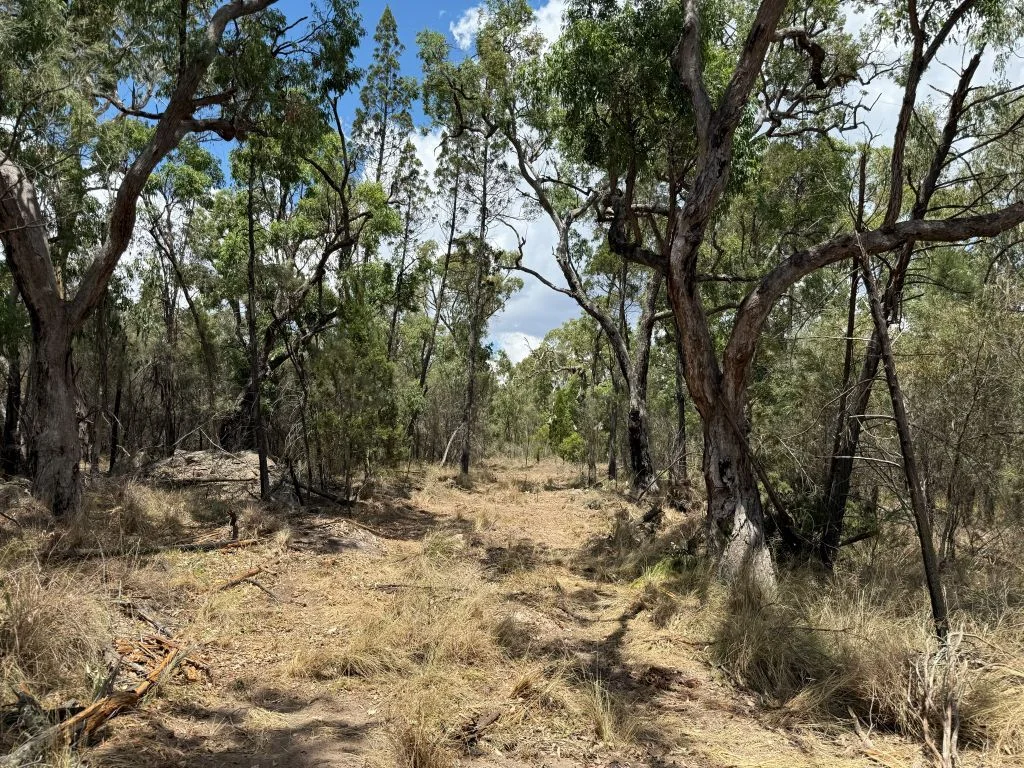 Additional image 24 of Lot/89 Fletcher Road, Ballandean QLD 4382