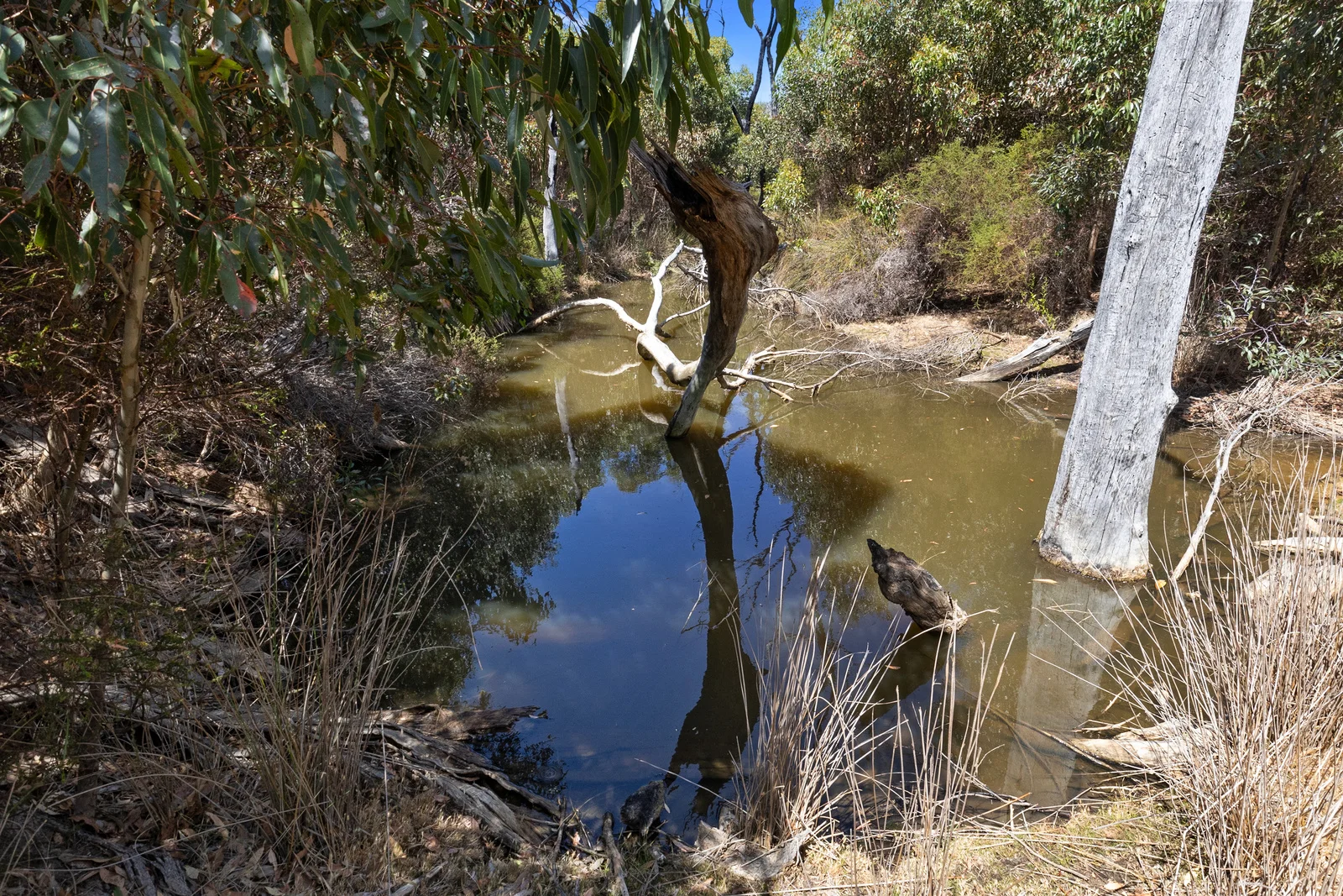 Additional image 10 of 518 Range Road, Stokes Bay SA 5223