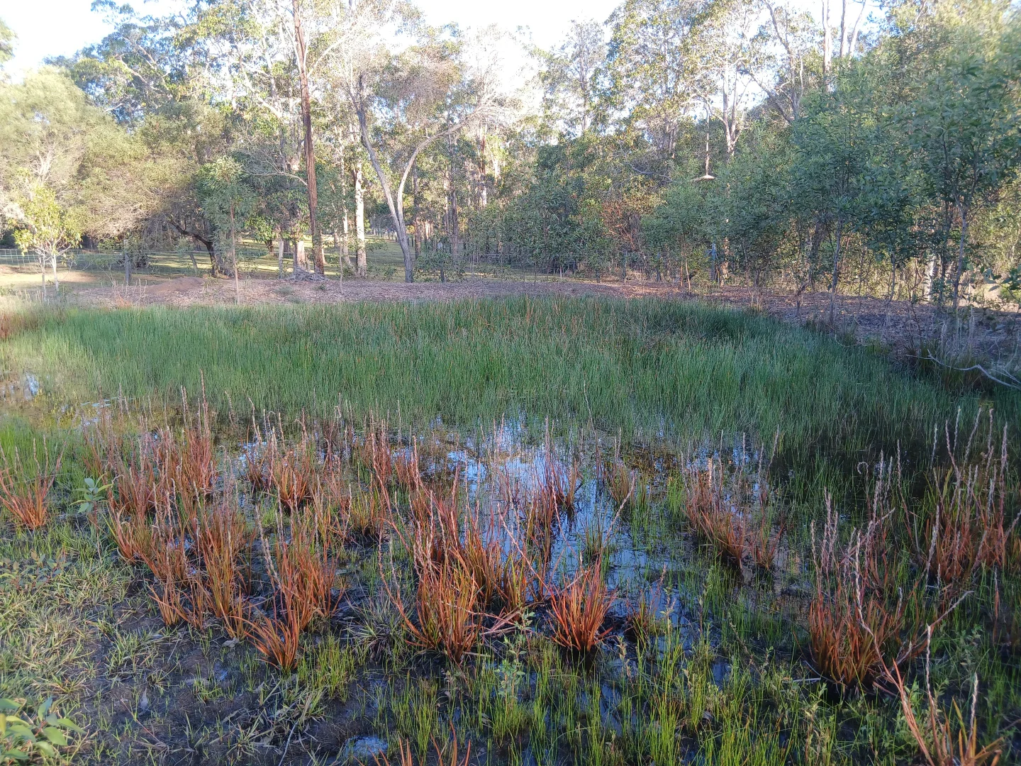 Additional image 9 of 139 (Lot 2) Moorabinda Drive, Sunshine Acres QLD 4655