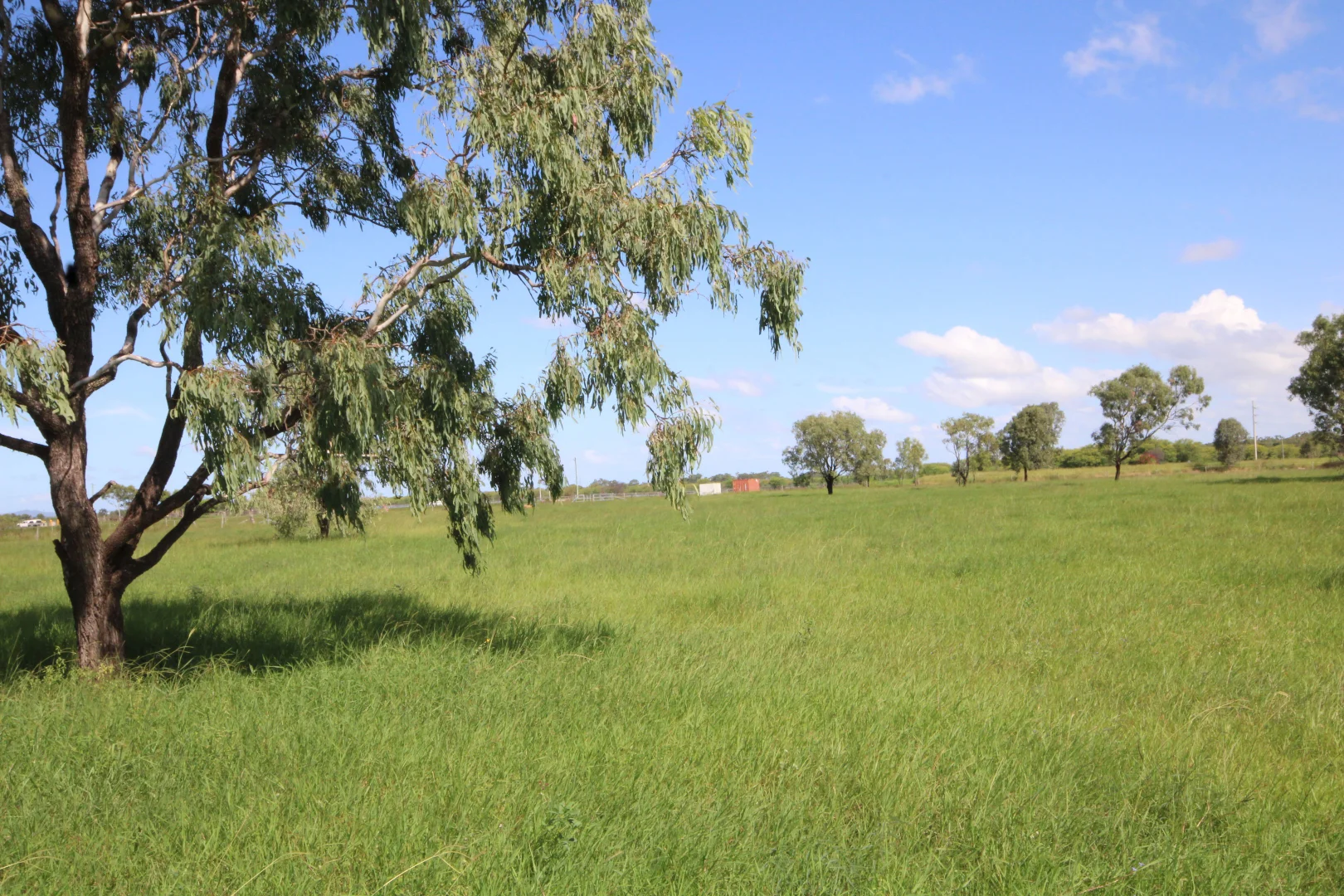 Additional image 26 of 366 GEORGE STREET, Depot Hill QLD 4700