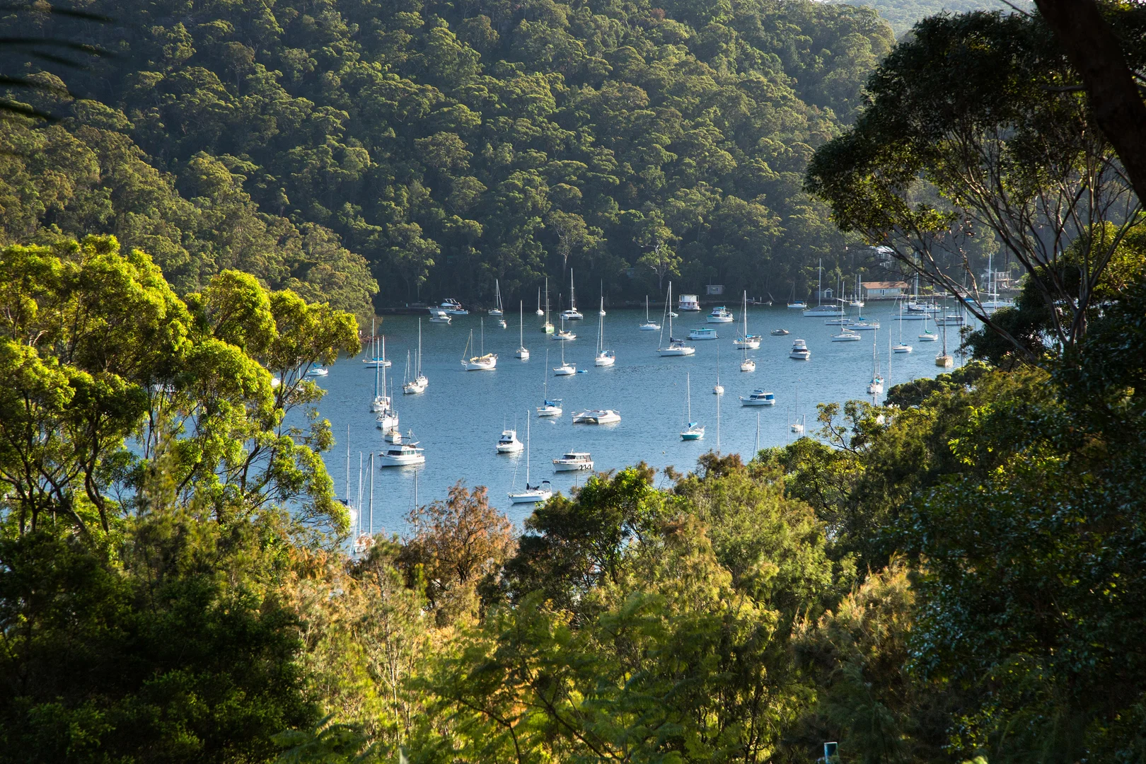 Additional image 15 of 223 McCarrs Creek Road, Church Point NSW 2105