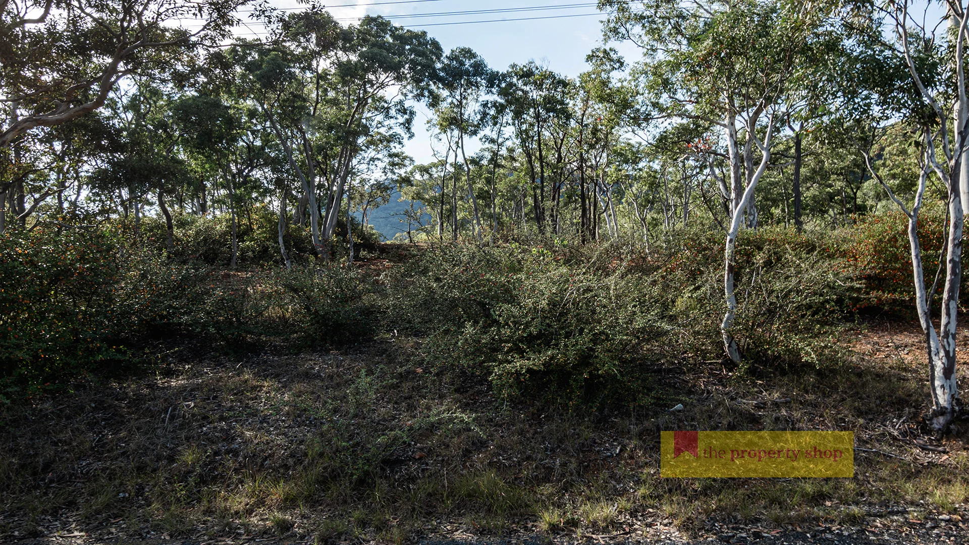 Additional image 3 of 50 Charbon Road, Charbon NSW 2848