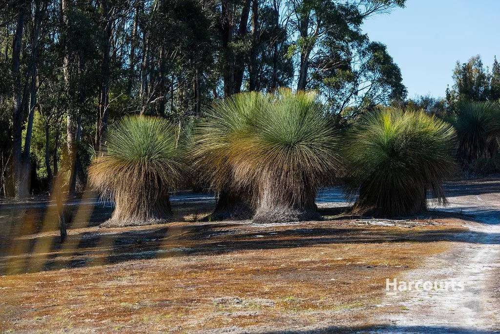 Additional image 14 of 191 Sisters Beach Road, Boat Harbour TAS 7321