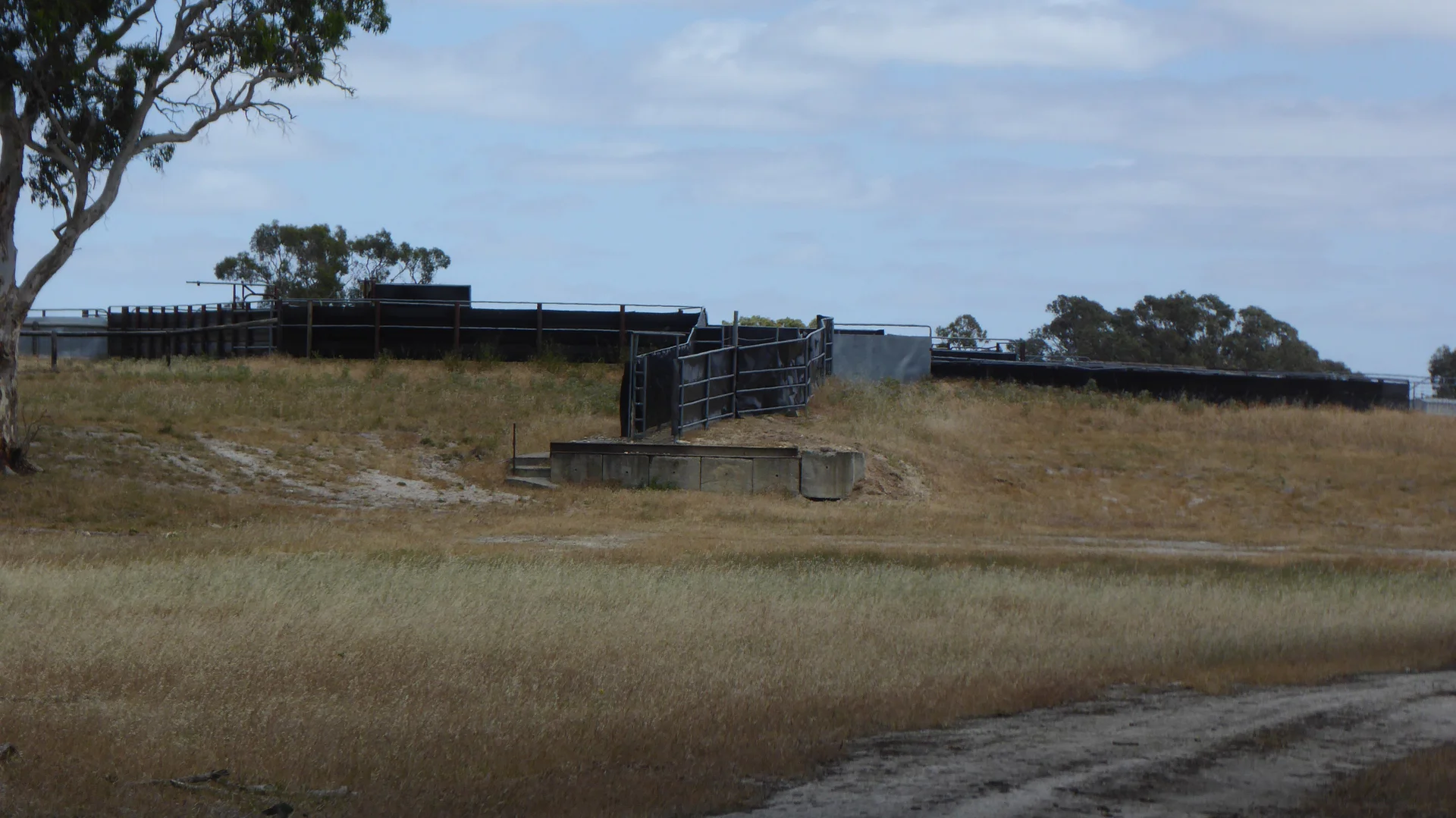 Additional image 21 of Lot 1 Walkington Hills Road, Frances SA 5262