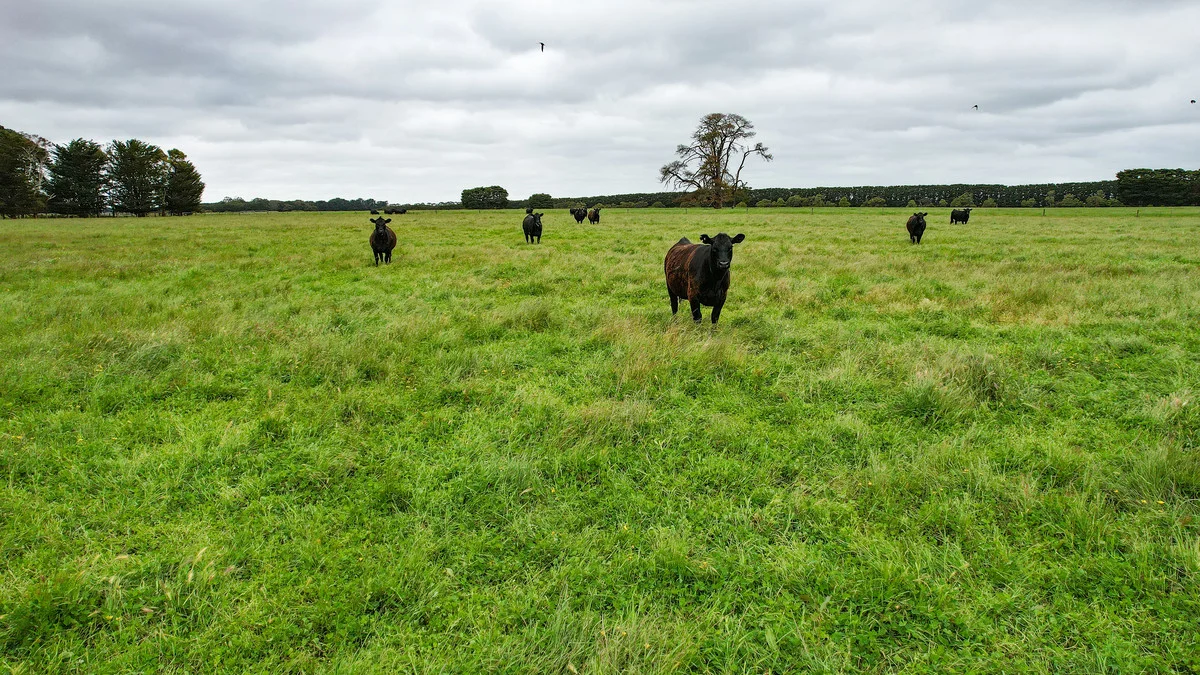 Additional image 31 of 'Laguna' 495 Camerons Road, Woolsthorpe VIC 3276