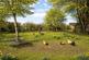 Additional image 39 of Long Street, Langport TA10