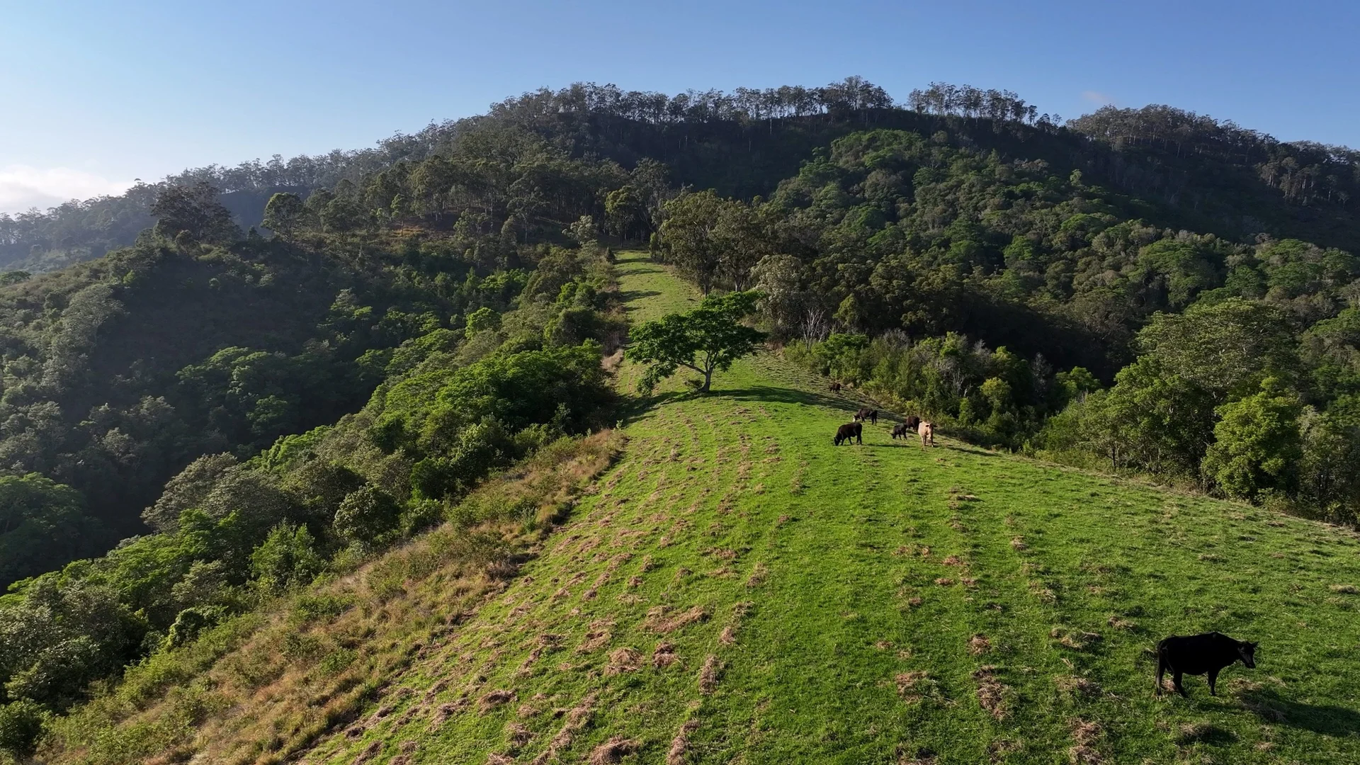 Additional image 9 of 5985 Oxley Highway, Ellenborough NSW 2446