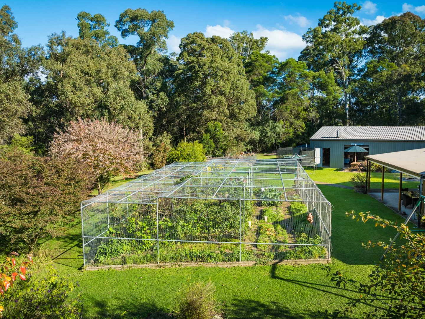 Additional image 20 of 277 Reedy Swamp Road, Bega NSW 2550