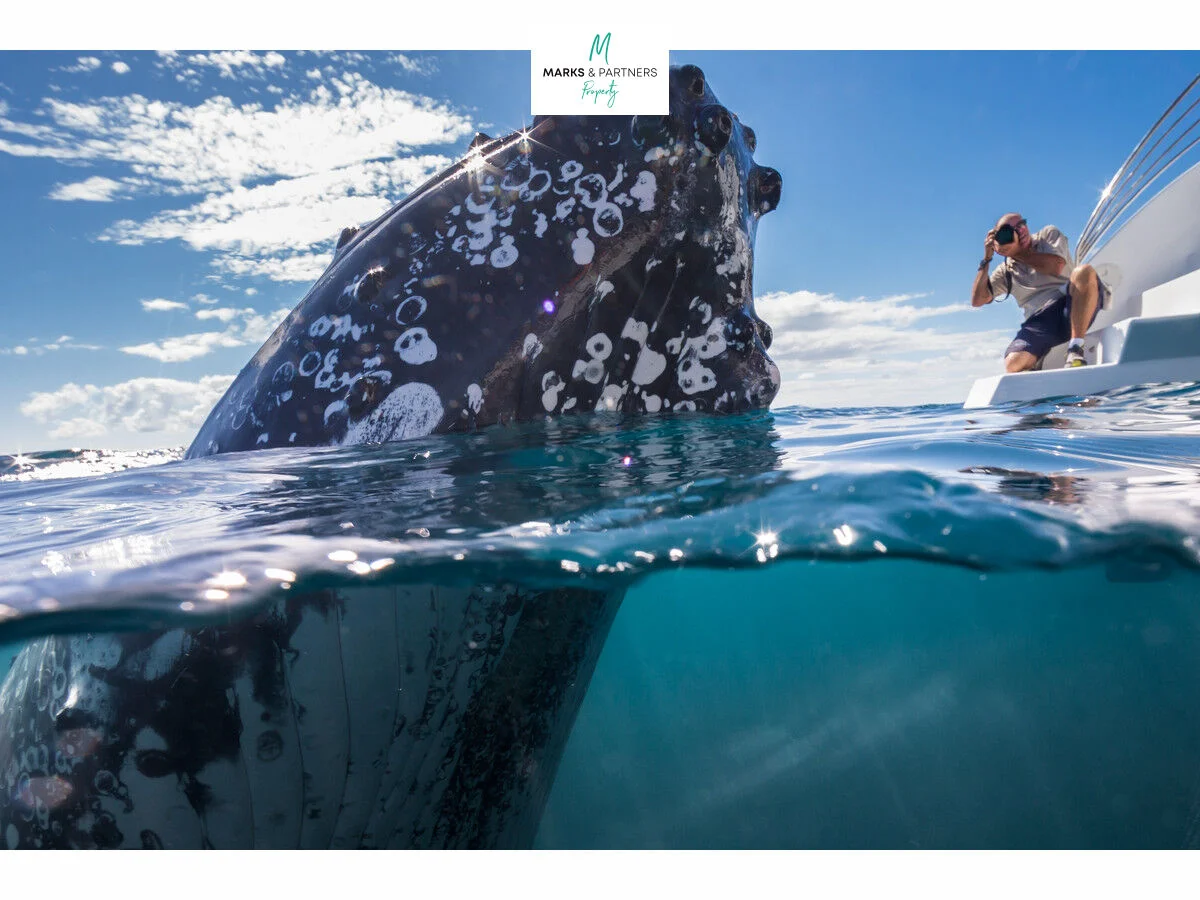 Additional image 9 of 77 Dulcie Court, Booral QLD 4655