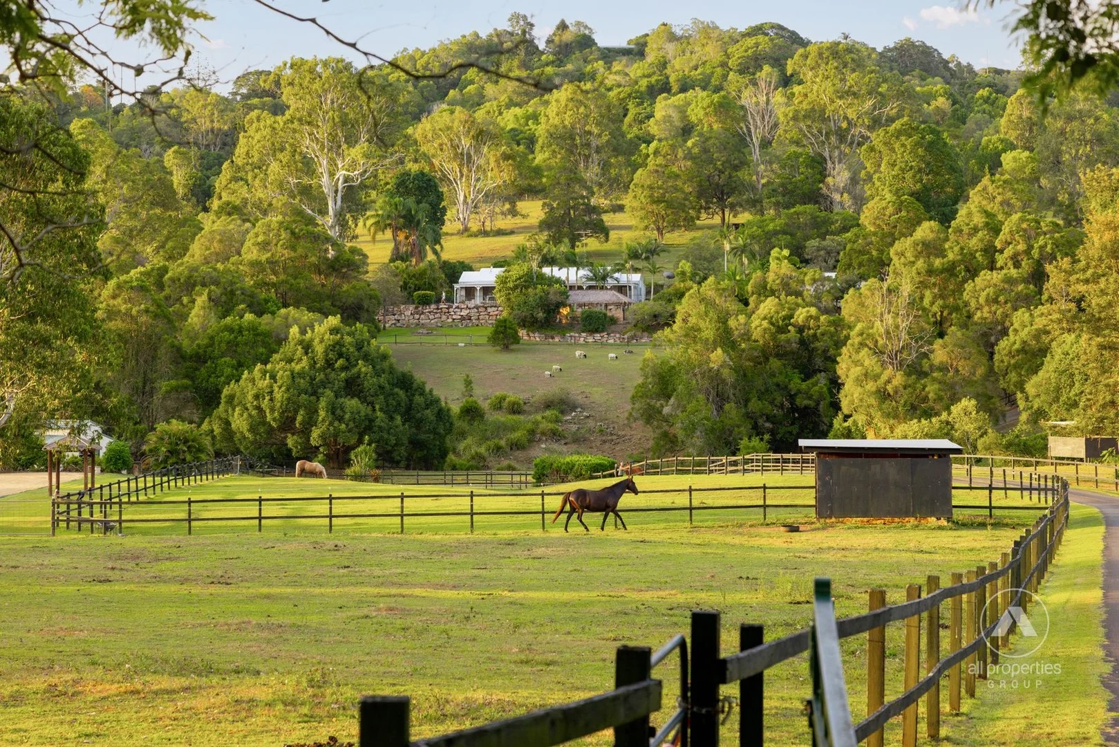 Additional image 4 of 43 Shaws Pocket Road, Luscombe QLD 4207
