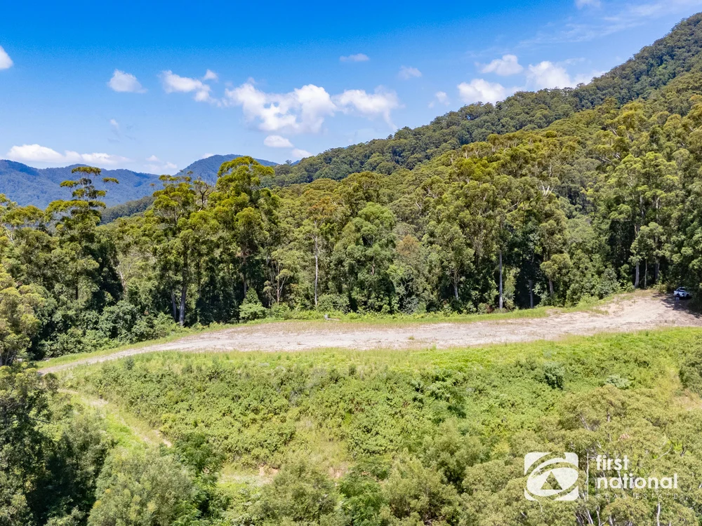 Additional image 9 of Lot 65 North Island Loop Road, Upper Orara NSW 2450