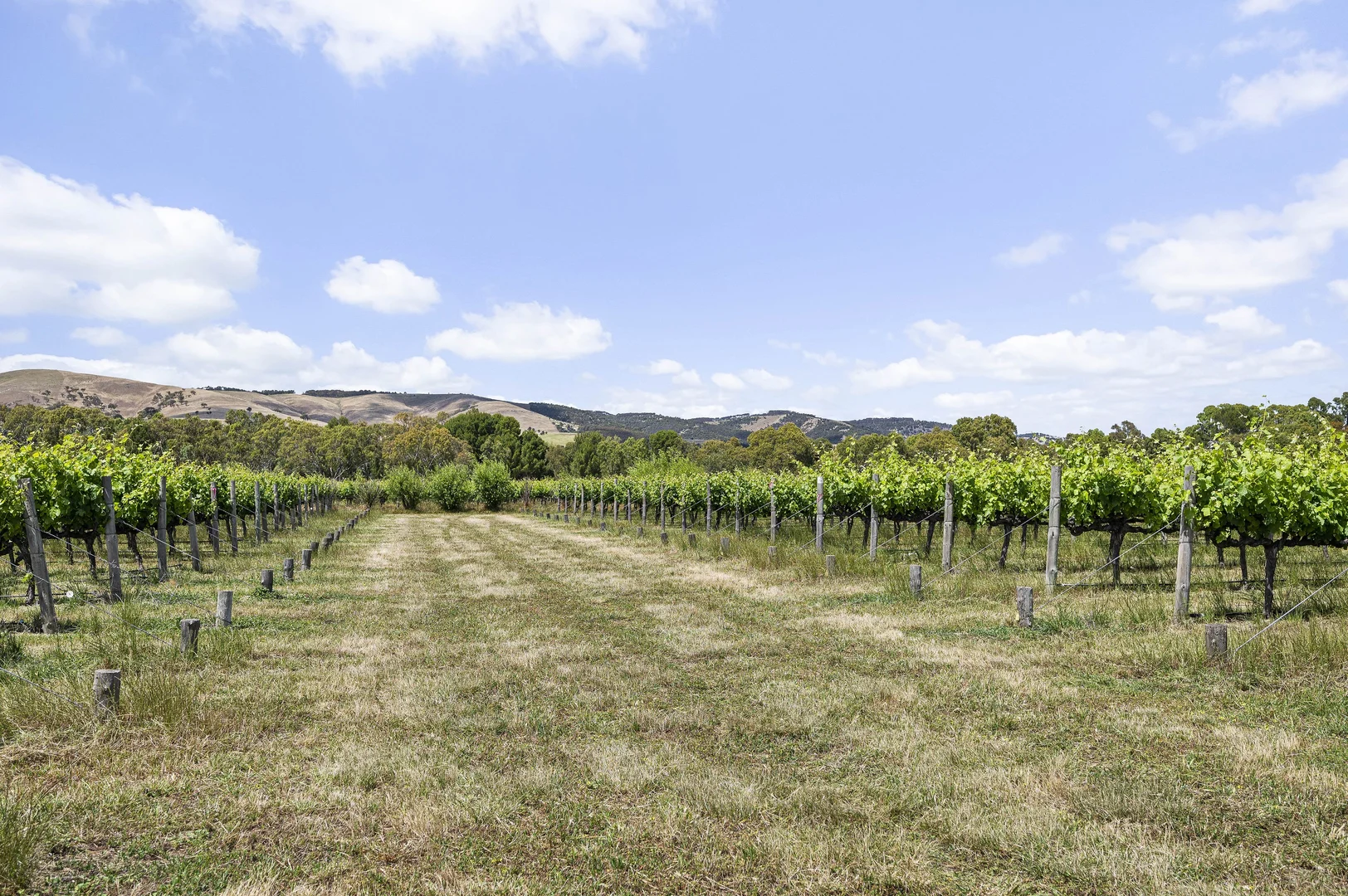 Additional image 12 of 185 Ryan Road, Sellicks Hill SA 5174