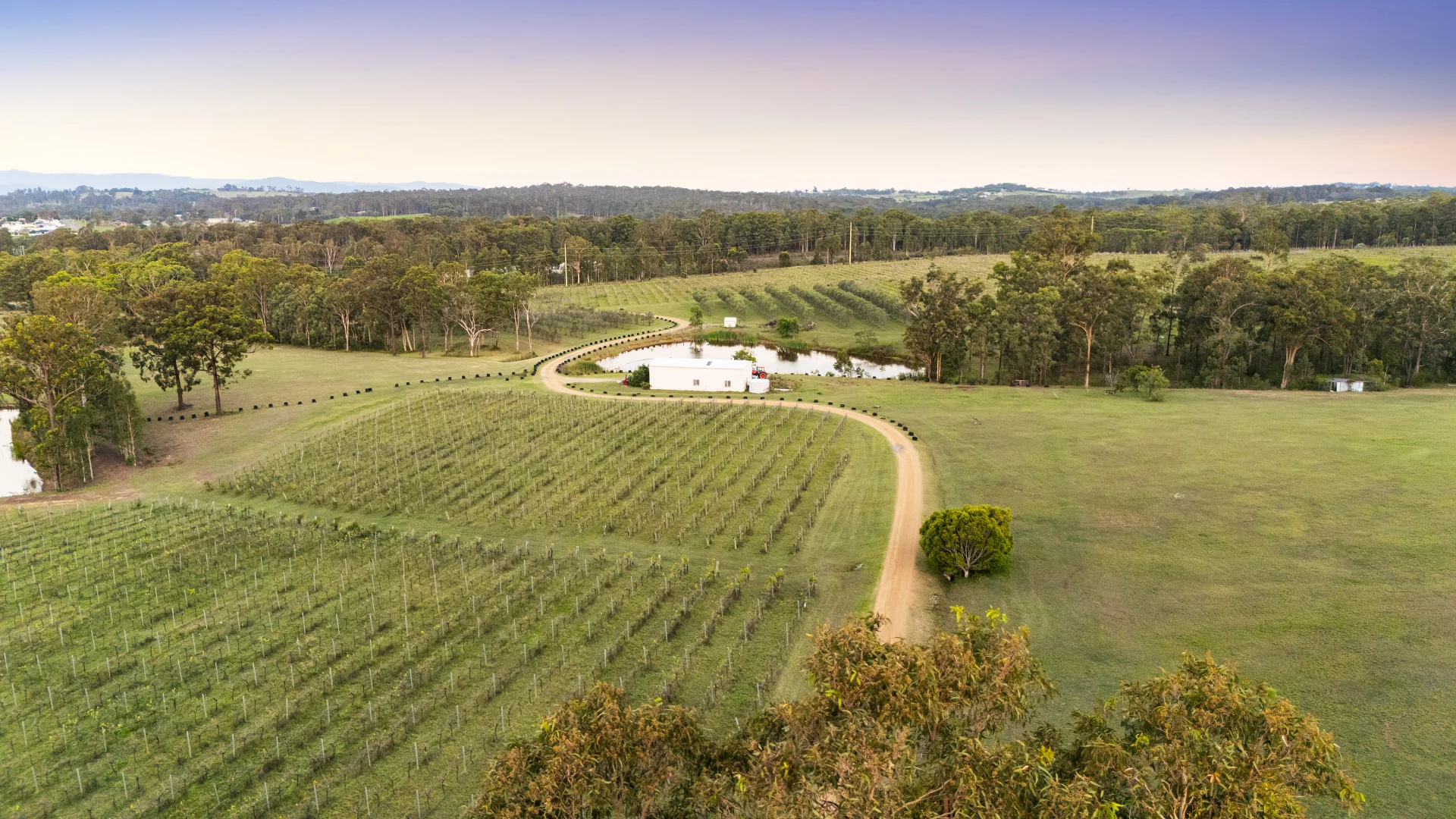 Additional image 8 of 356 Tuckers Lane, Greta NSW 2334