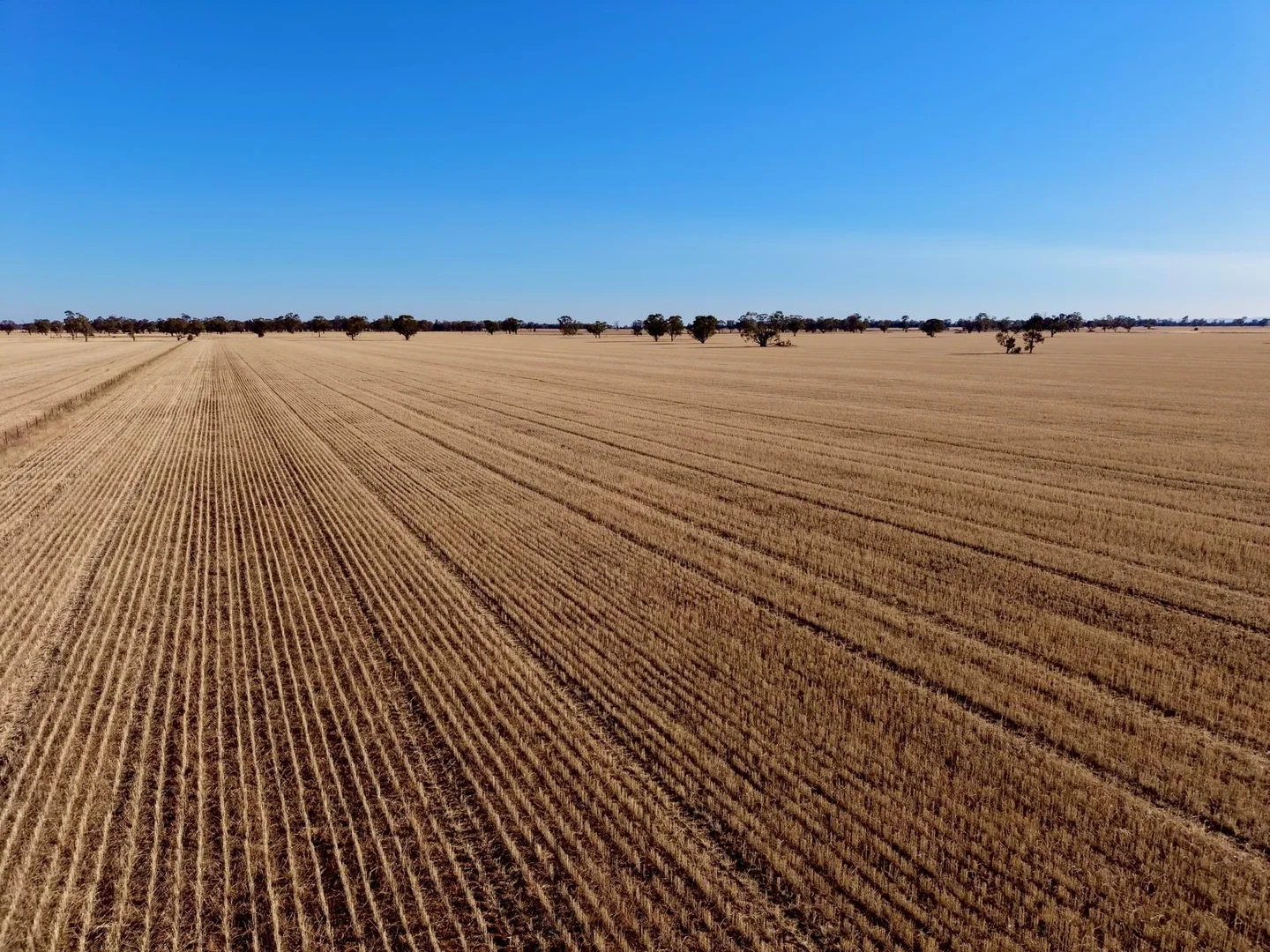 Additional image 2 of Part Woodville Blackstock Hill Road, Peak Hill NSW 2869