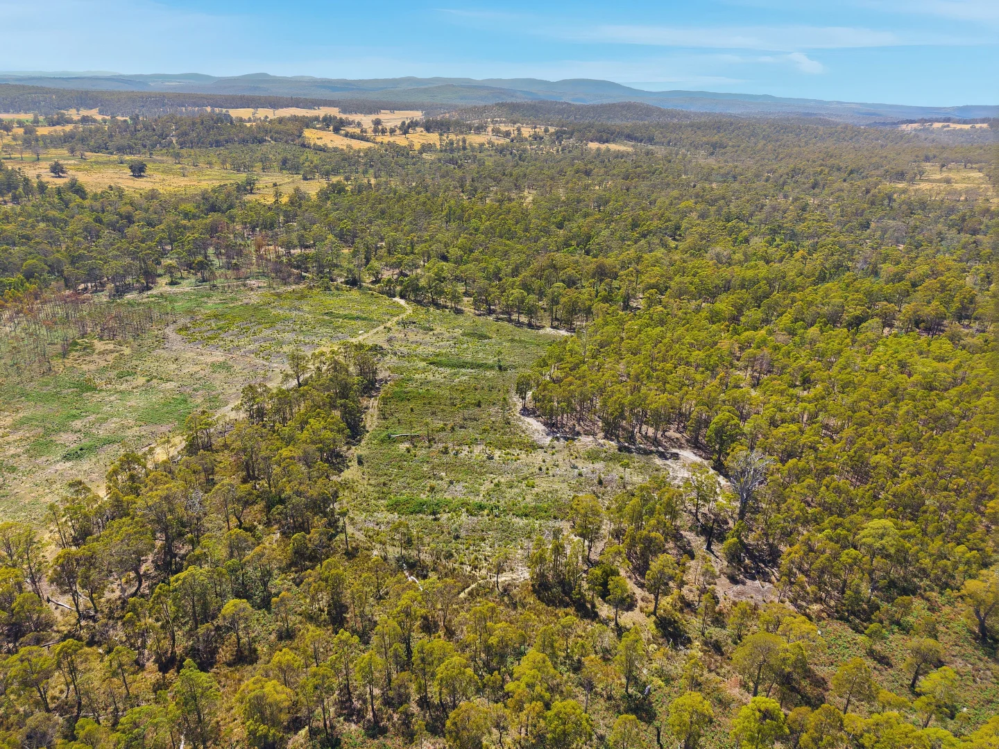 Additional image 13 of 422 Levendale Back Road, Levendale TAS 7120