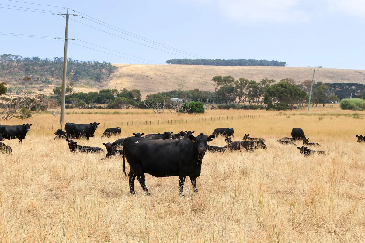 Additional image 12 of 6 Orchards Road, Narrawong VIC 3285