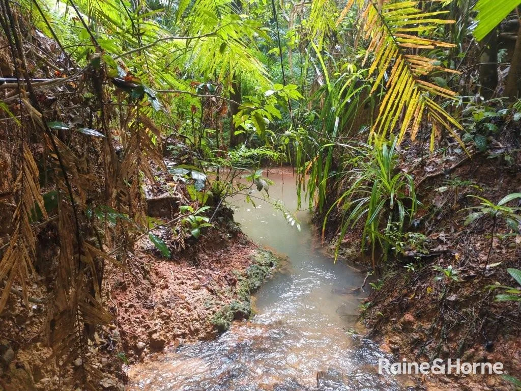Additional image 17 of Lot 11 Milky Pine Road, Kimberley, Daintree QLD 4873