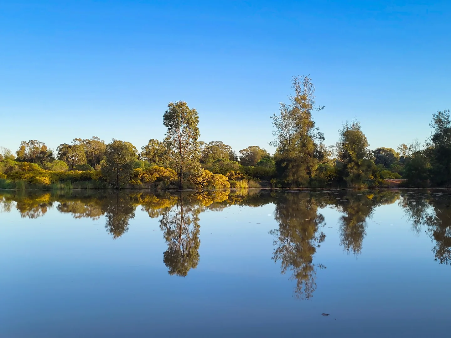 Additional image 24 of 296 Forest Way, Wee Waa NSW 2388