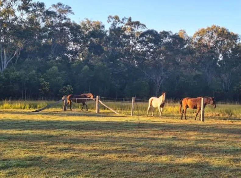 Additional image 11 of 136 Oyster Creek Road, Oyster Creek QLD 4674
