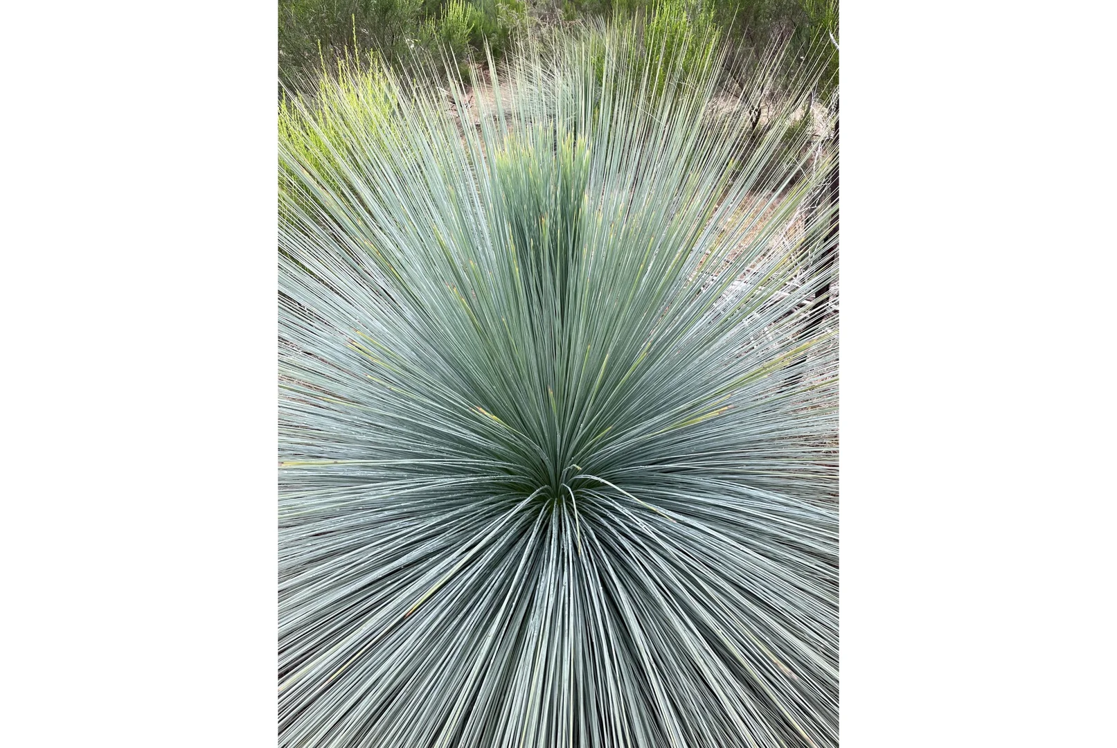 Additional image 6 of Lot 12 Heathcote-Nagambie Road, Moormbool West VIC 3523