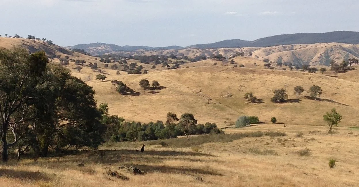 Additional image 13 of Lot 161 Eldridges Lane, Taylors Flat NSW 2586