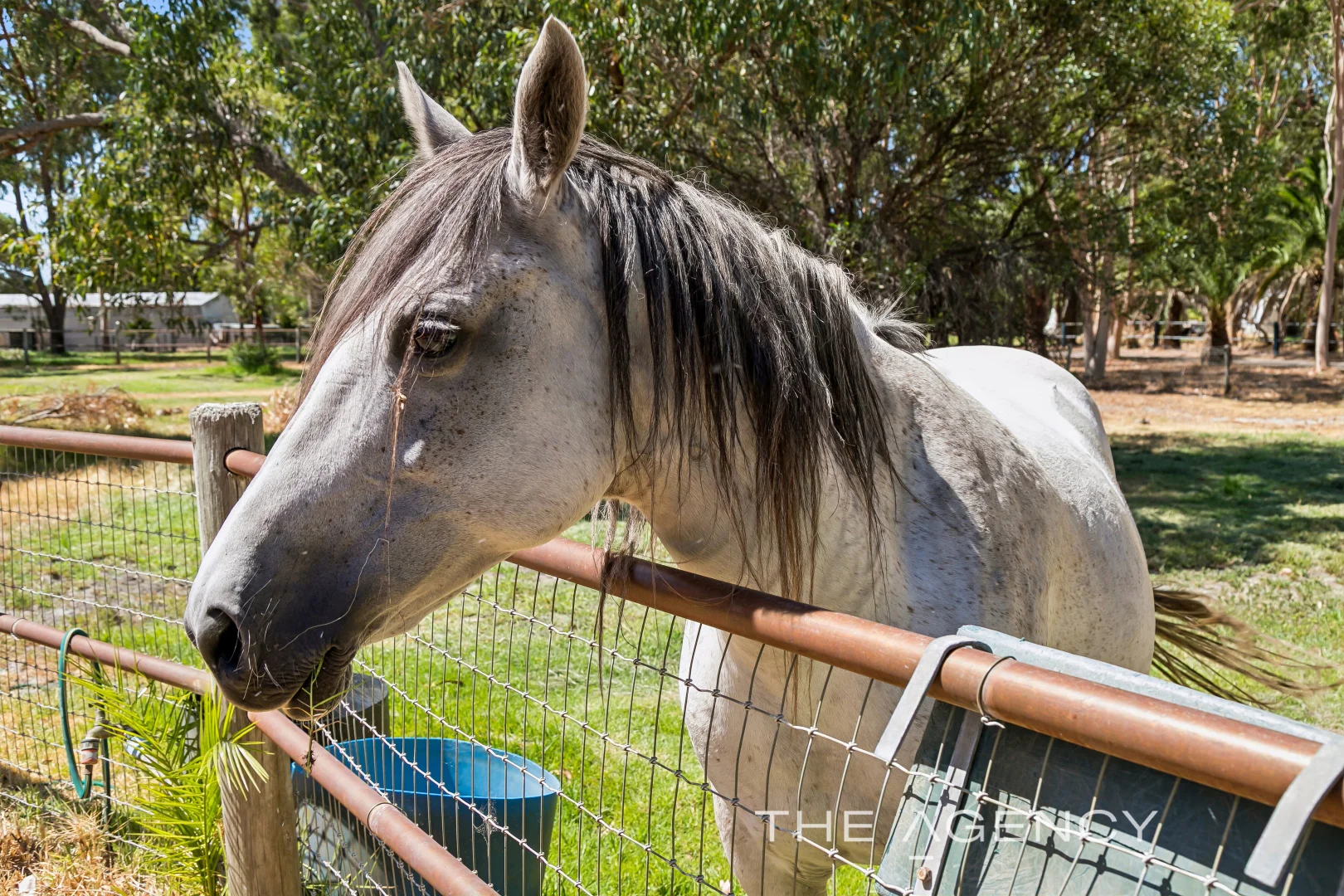 Additional image 4 of 81 Conductor Retreat, Mariginiup WA 6078