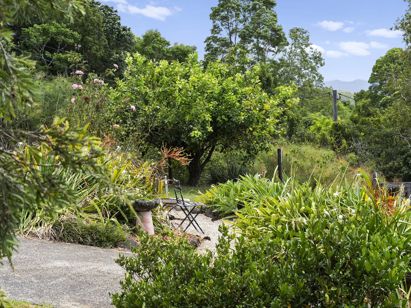 Additional image 17 of 102 Farrants Road, Farrants Hill NSW 2484