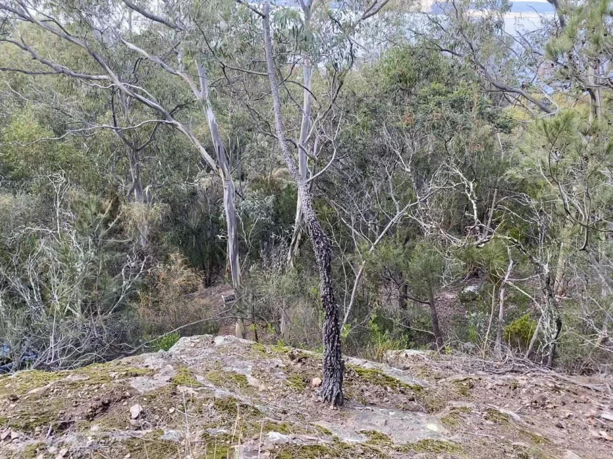 Additional image 9 of 85A Channel Highway, Taroona TAS 7053