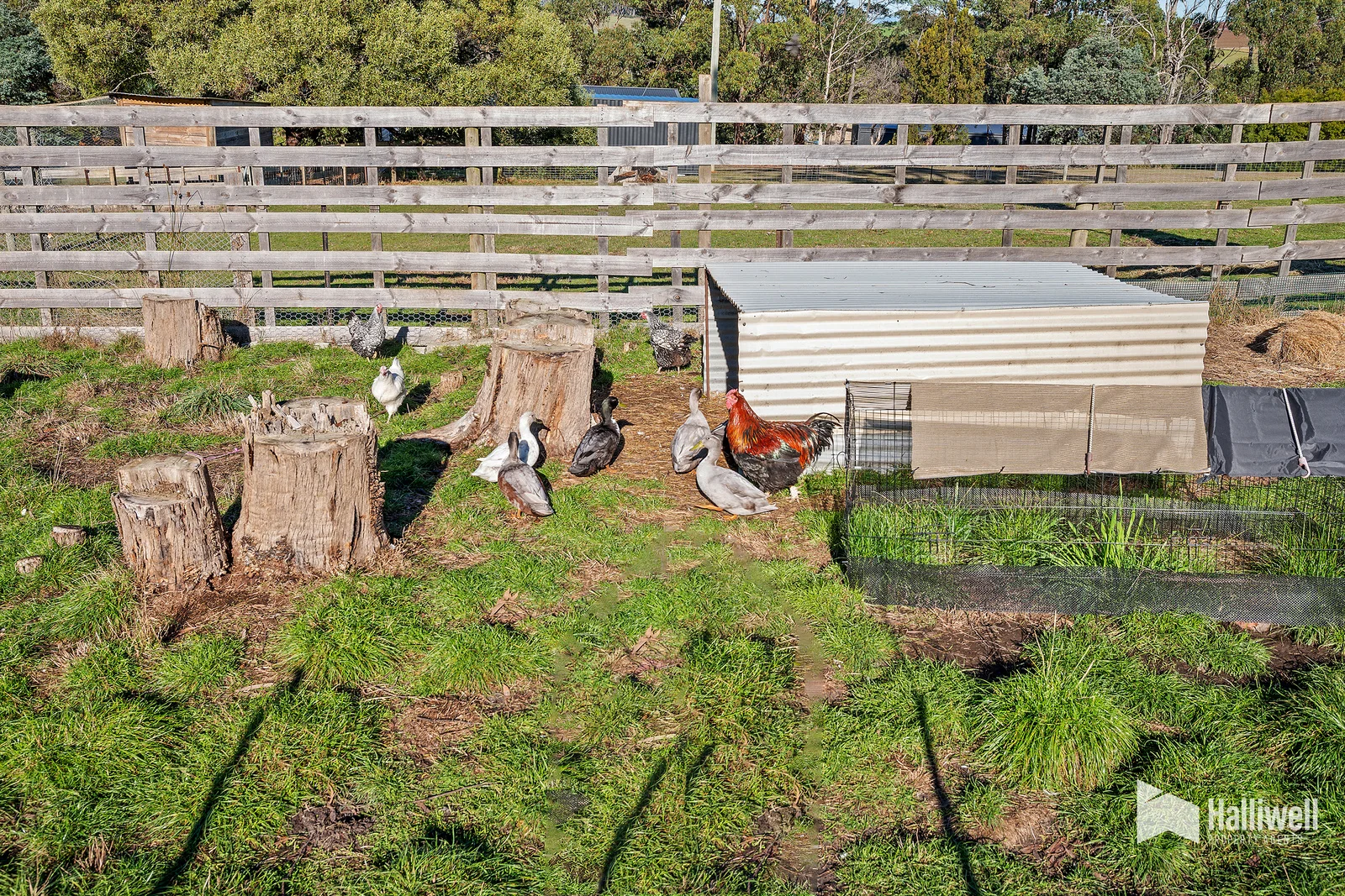 Additional image 31 of 35 Watsons Road, Northdown TAS 7307