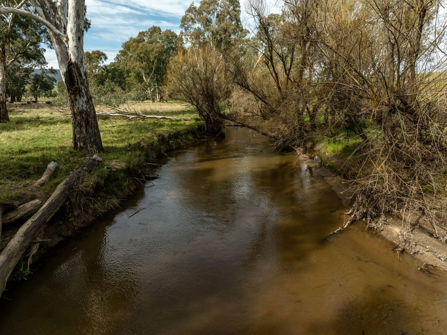 Additional image 33 of 2543 Westbrook Road, Oberne Creek NSW 2650