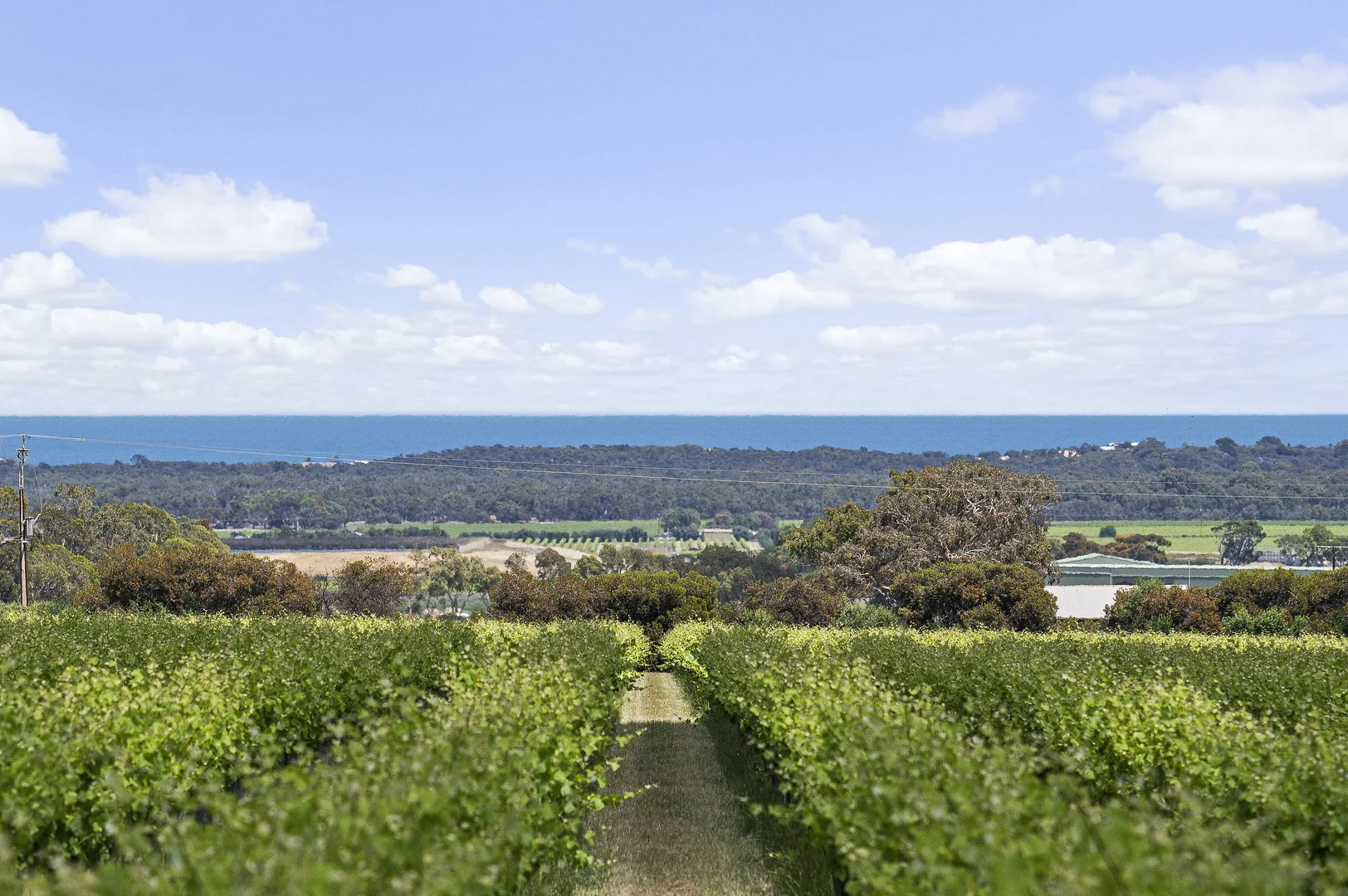 Additional image 3 of 185 Ryan Road, Sellicks Hill SA 5174