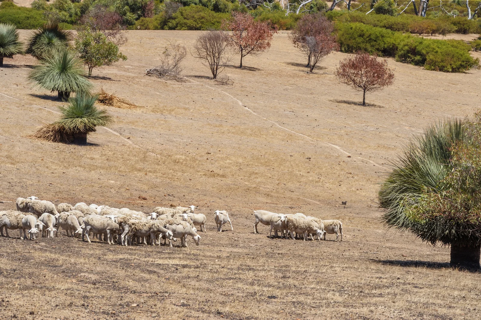 Additional image 8 of 518 Range Road, Stokes Bay SA 5223