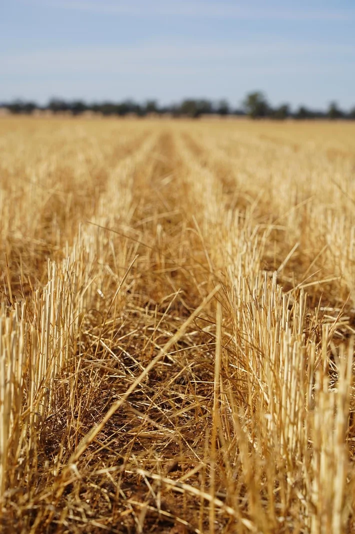 Additional image 9 of Part Woodville Blackstock Hill Road, Peak Hill NSW 2869