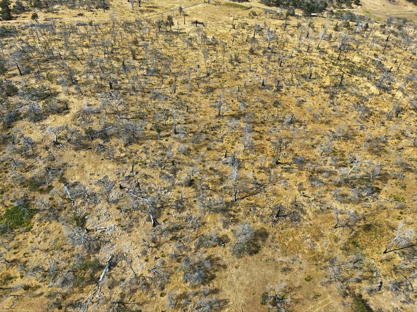 Additional image 36 of 75 Prossers Forest Road, Ravenswood TAS 7250