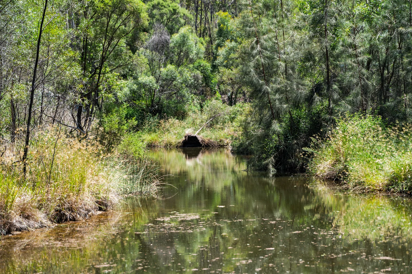 Additional image 25 of 374 Voll Road, Crows Nest QLD 4355