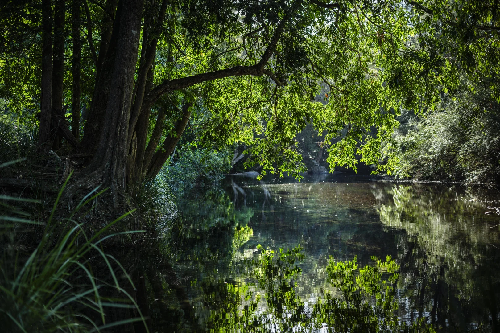 Additional image 28 of 71 Gordonville Road, Gleniffer NSW 2454