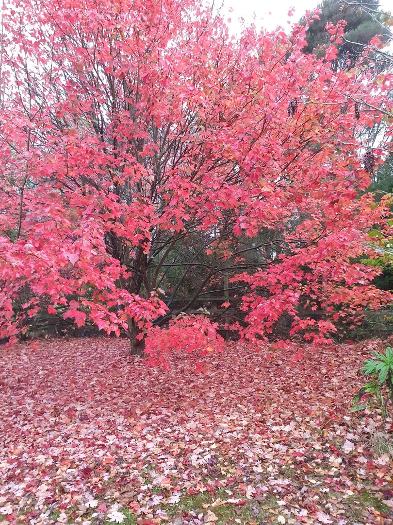 Additional image 23 of 356 montagu road, Smithton TAS 7330