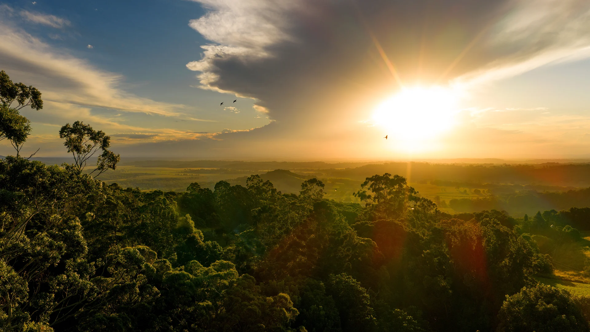 Additional image 38 of 251 Cooks Lane, Dalwood NSW 2477