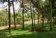 Additional image 2 of Elle Bank Wood, Hayfield, Derbyshire SK22